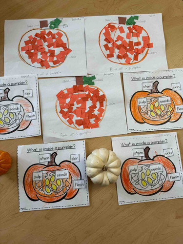 Photo of Bright Blossoms Daycare - Ontario, CA