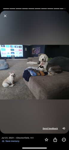 Photo of Kimberly K. - St. Charles, MO