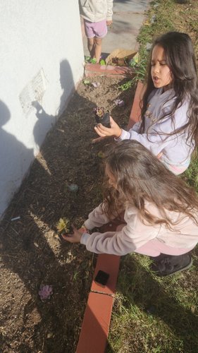 Photo of Mervat Albatra Family Childcare Daycare - El Cajon, CA