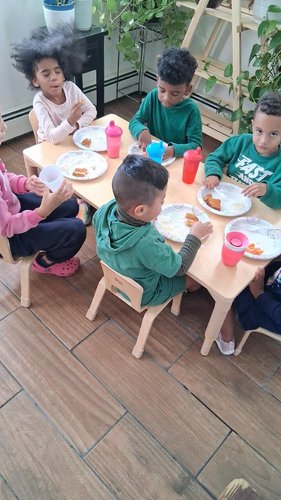 Photo of Little Sheep Of Jesus - Albany, NY