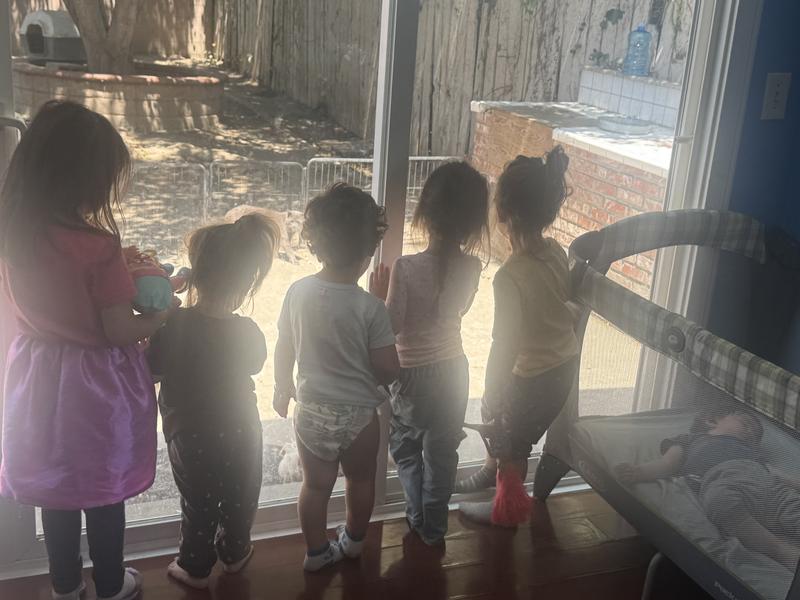 Photo of Silly Little Genius Daycare - Fullerton, CA