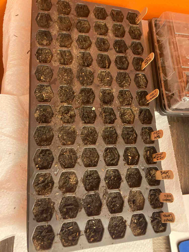 Photo of Rocking Knowledge Family Home Daycare - Los Angeles, CA