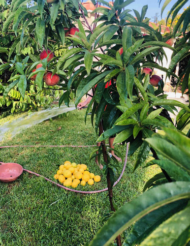 Photo of DeSilva Daycare - Irvine, CA