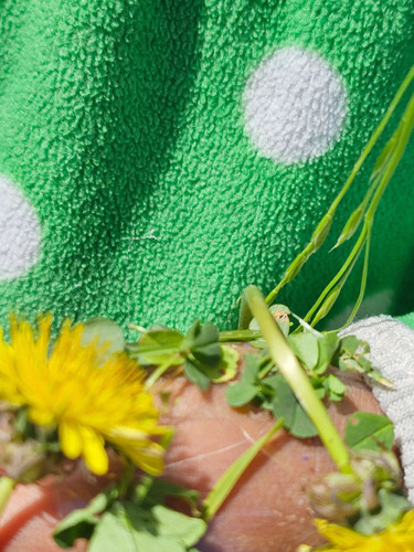 Photo of Wonder World Preschool And Daycare - Los Angeles, CA