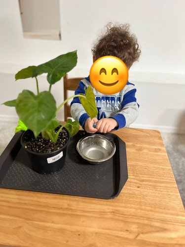 Photo of Little Genius Bilingual Childcare & Preschool Daycare - Tigard, OR