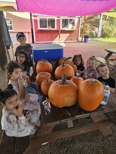 Photo of Beccas Buccaneers - Bakersfield, CA