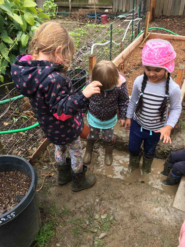 Photo of Sharma Family Daycare - Davis, CA