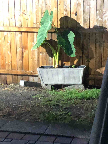 Photo of Julia Brown Daycare - Barnegat, NJ