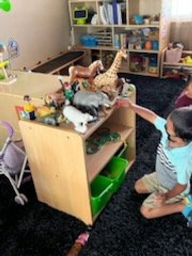 Photo of Patty's Family Childcare - San Jose, CA