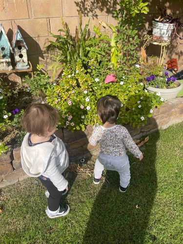 Photo of Kandies  Daycare - Cathedral City, CA