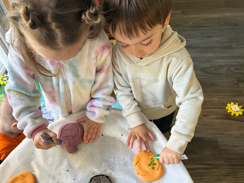 Photo of Rainbow Lights Daycare - Tigard, OR