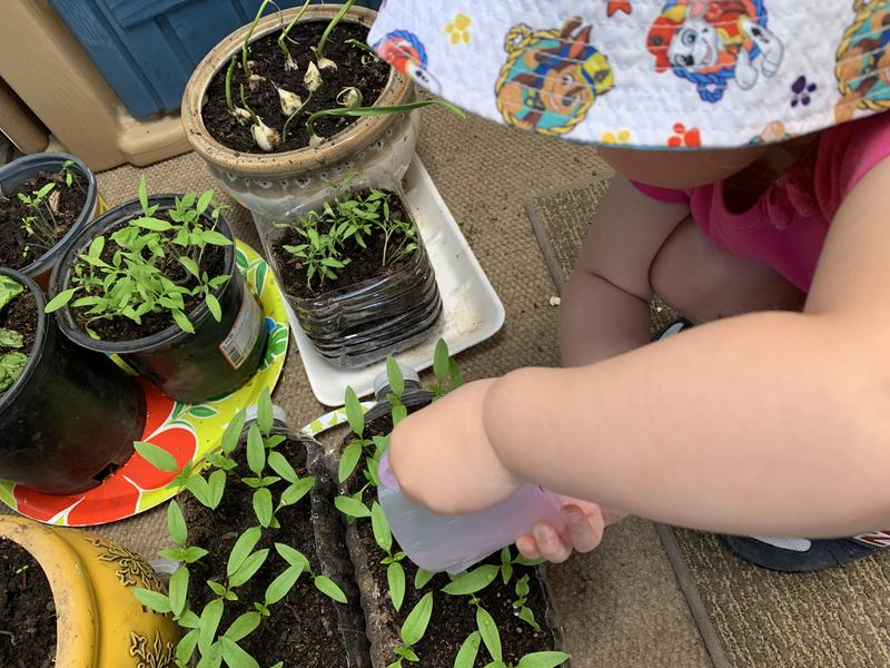 Photo of Skeyci Children Programs Daycare - Castro Valley, CA