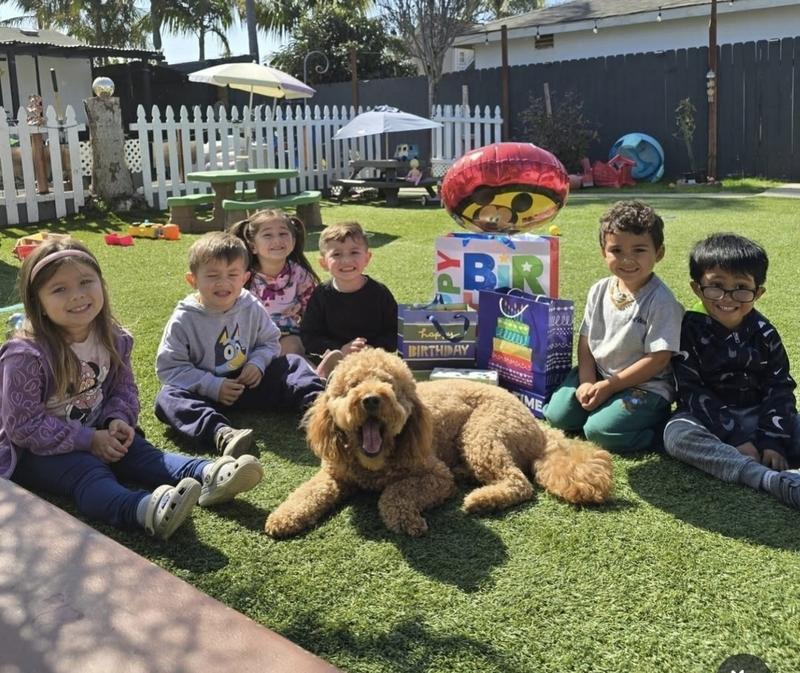 Photo of Little Birdies Daycare - Chula Vista, CA