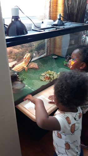 Photo of Jackson's Little Friends Daycare - Inglewood, CA