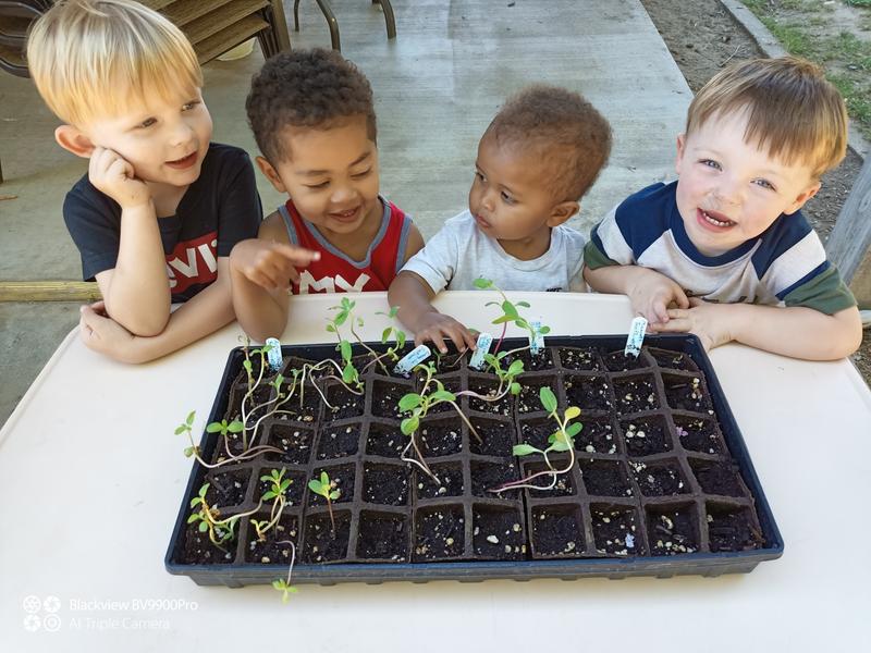 Photo of LC Advanced Learning Foundation Daycare - FAIR OAKS, CA
