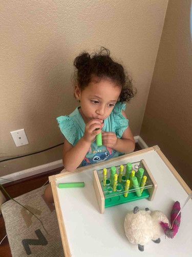 Photo of The Nest At Elk Grove - Elk Grove, CA