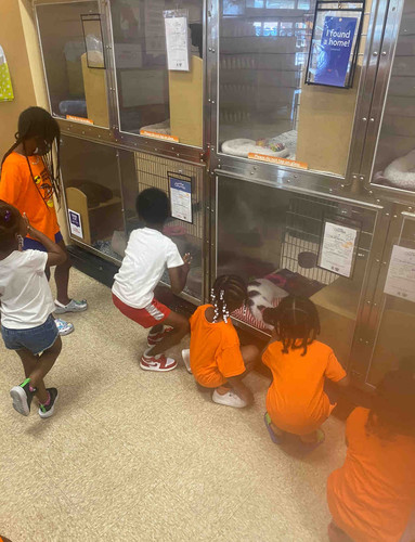 Photo of Kiddie Clubhouse - Baltimore, MD