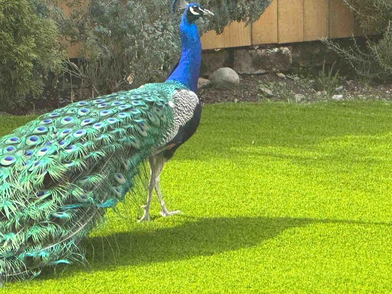 Photo of Zoya Early Learning Program Daycare - Kent, WA