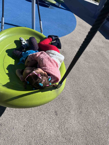 Photo of Decrielea H.