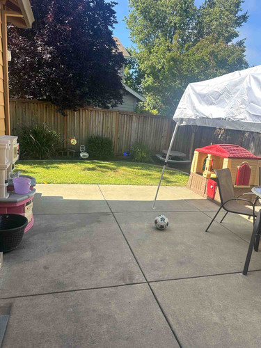 Photo of Teddy’s Bear  Daycare - Santa Rosa, CA