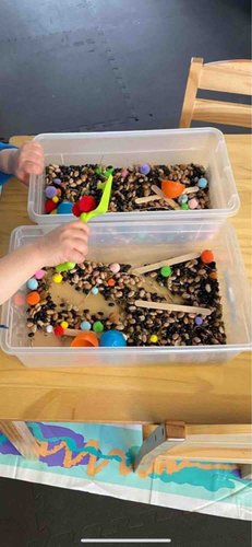 Photo of Early Emergent Spanish School - Bellevue, WA