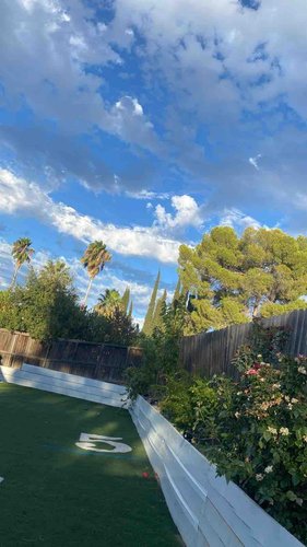 Photo of Shabana Danish - Roseville, CA