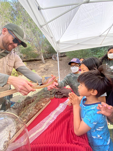 Photo of 白天鹅双语学习中心日托中心 - 库比蒂诺, CA