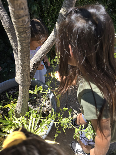 Photo of Sauceda, Maria Family Child Care - Vista, CA