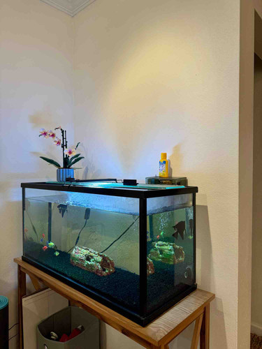 Photo of Little Capers Family Childcare - Long Beach, CA