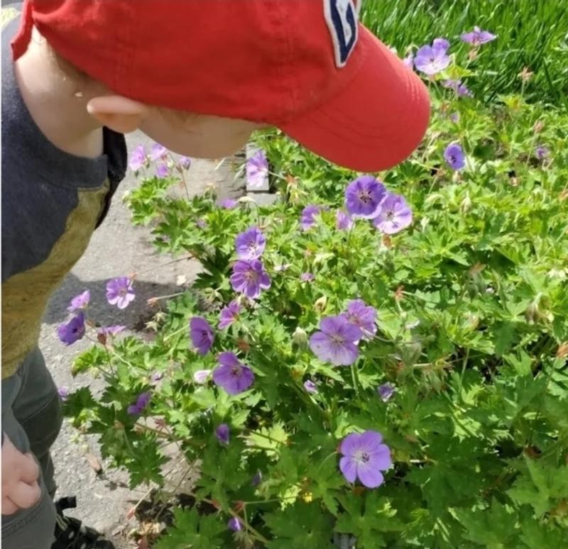 Photo of Nessa's Childcare - New York, NY