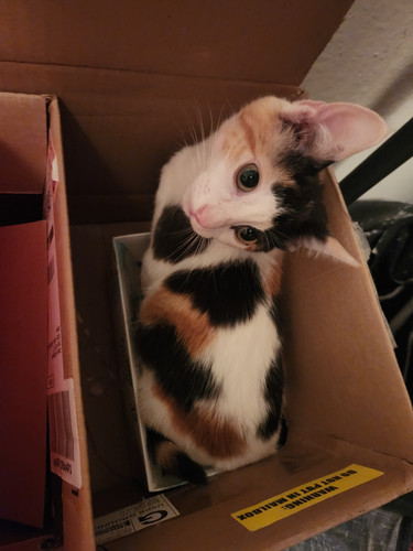 Photo of Charity A. - Aumsville, OR