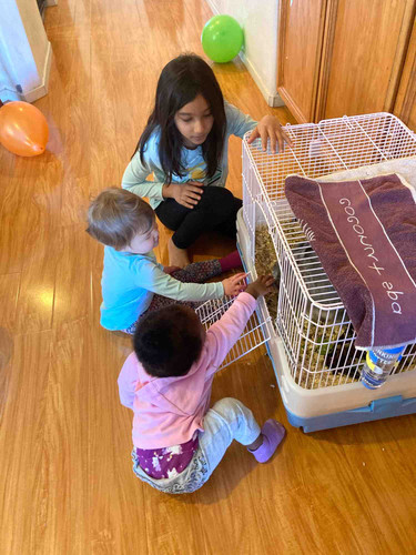 Photo of Little Quails Montessori - West Sacramento, CA