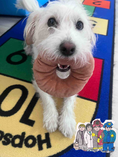 Photo of Estrellas Del Mañana Family Childcare - San Ysidro, CA