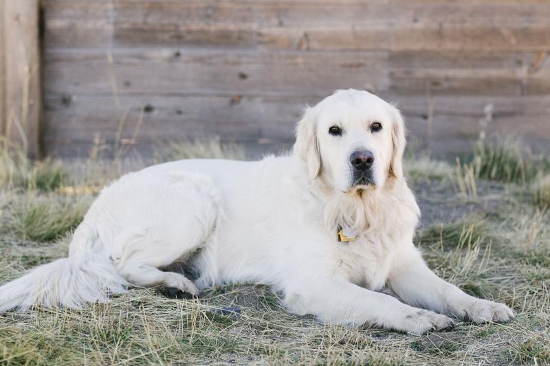 Photo of Little Miners Montessori - Park City, UT