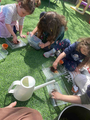 Photo of Quintero, Hilda Daycare - Santa Clara, CA