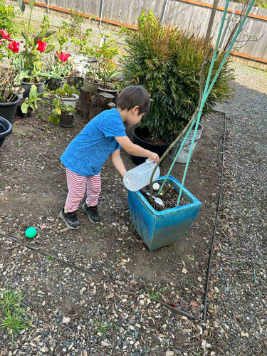 Photo of Bethel Daycare LLC - Vancouver, WA