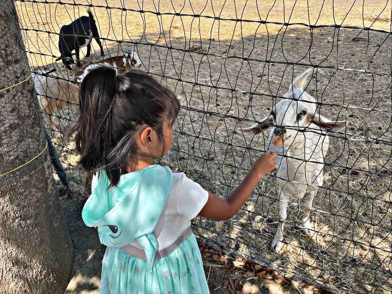 Photo of Tillett Family Child Care - Hemet, CA