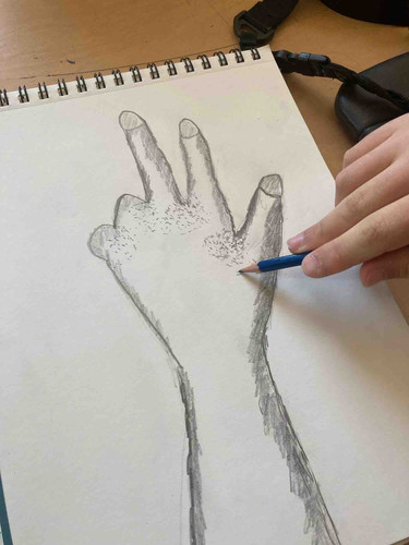 Photo of Blossoms Land Daycare - Santa Clara, CA