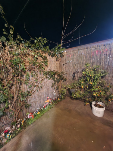 Photo of Faryadi, Razia Daycare - Sacramento, CA