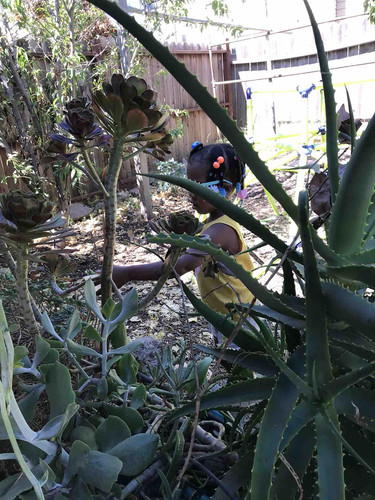 Photo of Happi Hands Daycare - Oakland, CA