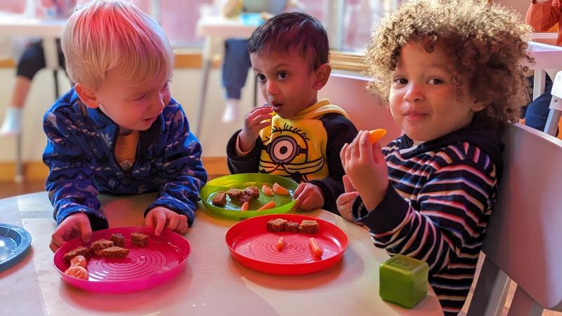 Photo of Bellevue Sunshine Family Home Child Care - Bellevue, WA