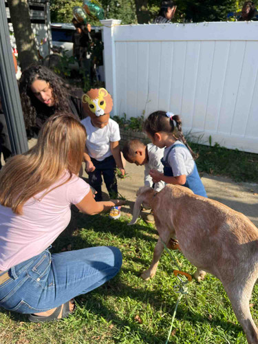 Photo of Little Friends House - Lynbrook, NY