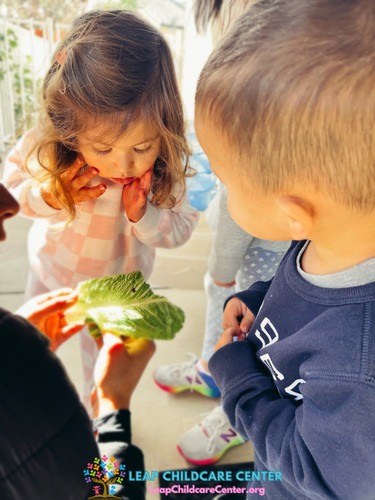 Photo of Leap Childcare Center - Bakersfield, CA