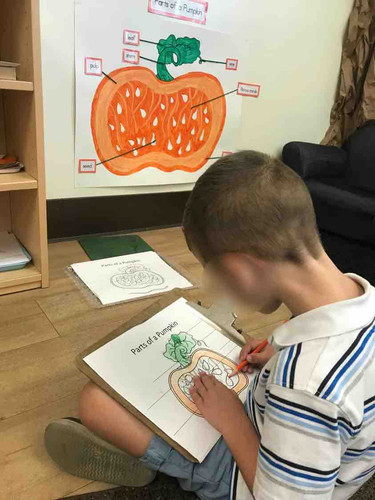 Photo of Montessori Kids Daycare - Irvine, CA