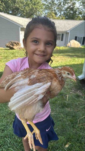 Photo of Regilene Fernandes - Uxbridge, MA