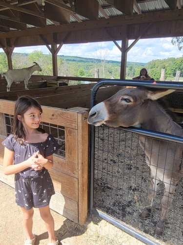 Photo of Poo Bear Daycare - Rochester, NY