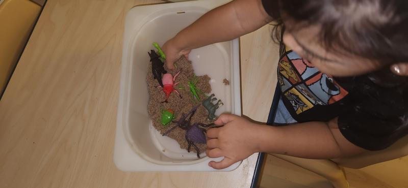 Photo of Children Milestone Daycare - Bronx, NY