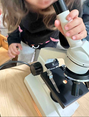 Photo of Kids Konnect Daycare - San Lorenzo, CA