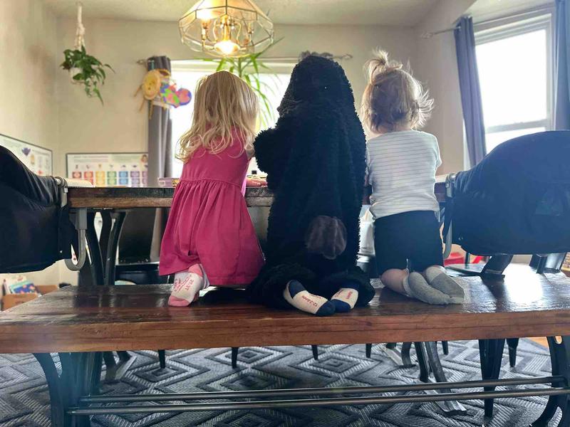 Photo of Little Sparrows Childcare - Colorado Springs, CO