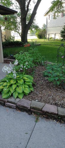 Photo of C&C Daycare - Rochester, MN